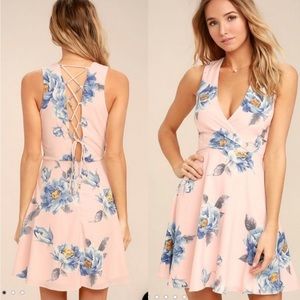 Lulu's Garden Walk Skater Dress Sz Small Blush Pink Blue Floral Print size S